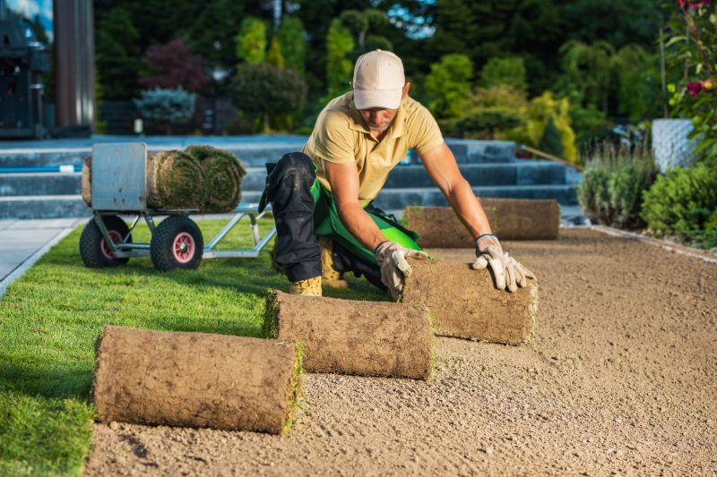 Lawn Border Installation